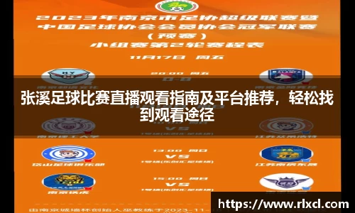 新足球直播在线观看